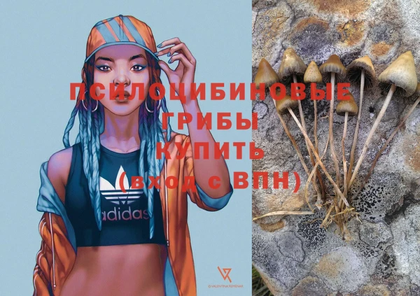 мдпв Балабаново