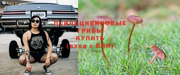 молекула духа Баксан
