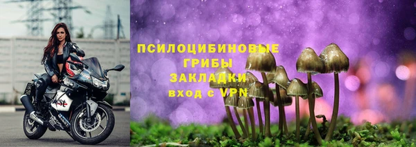 молекула духа Баксан