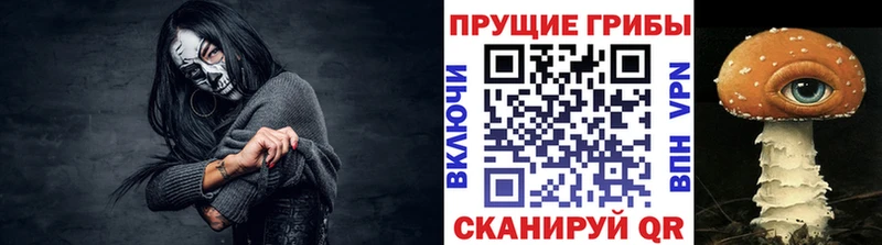 купить наркоту Староминская KRAKEN как зайти Галлюциногенные грибы мухоморы